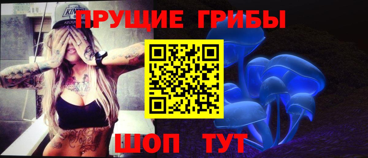 сколько стоит  Вход с VPN  Санкт-Петербург  Галлюциногенные грибы мицелий 